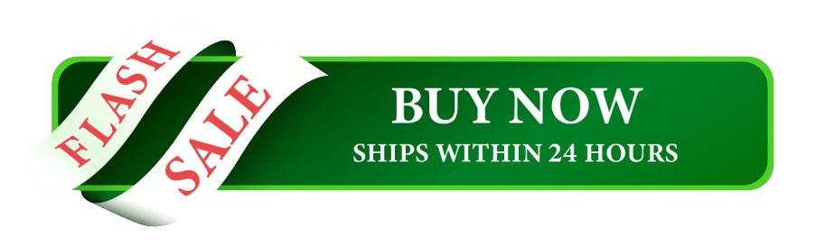 ACMint_Closing_Sale-77-removebg-preview